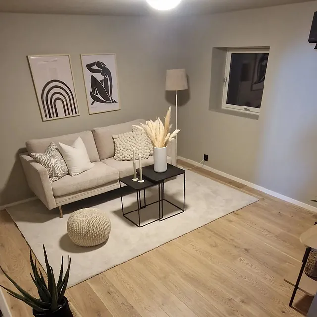 Lys stue med sofa og teppe